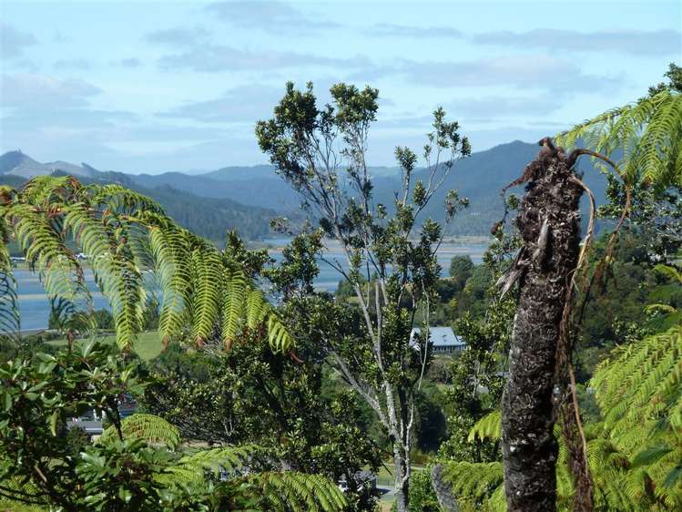 40 Tairua Heights Tairua_12