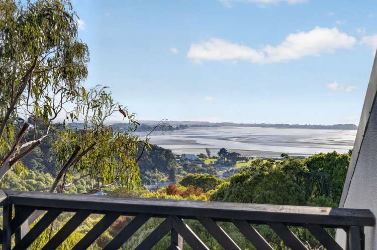 60 Soleares Avenue Mount Pleasant_7