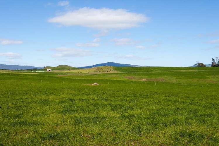 2175 Morrinsville-Walton Road Richmond Downs_11