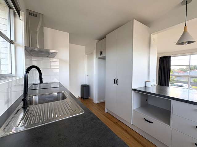 3 Rose Street Maeroa_3
