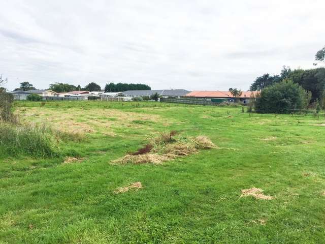 42 Renfrew Street Waikiwi_2