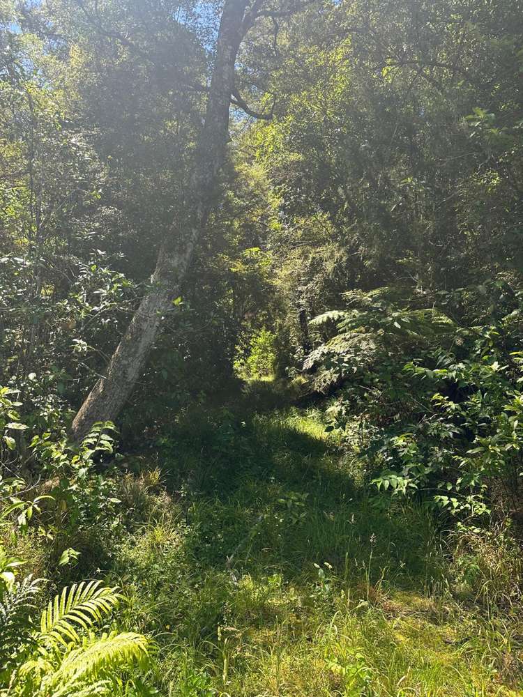 240 Teapot Valley Road Brightwater_44