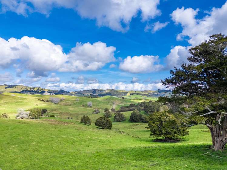 325b Haruru Road Wainui_5