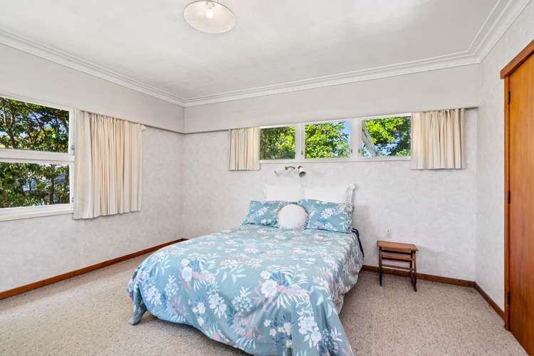 218 Springfield Road Mangapai and Surrounds_5