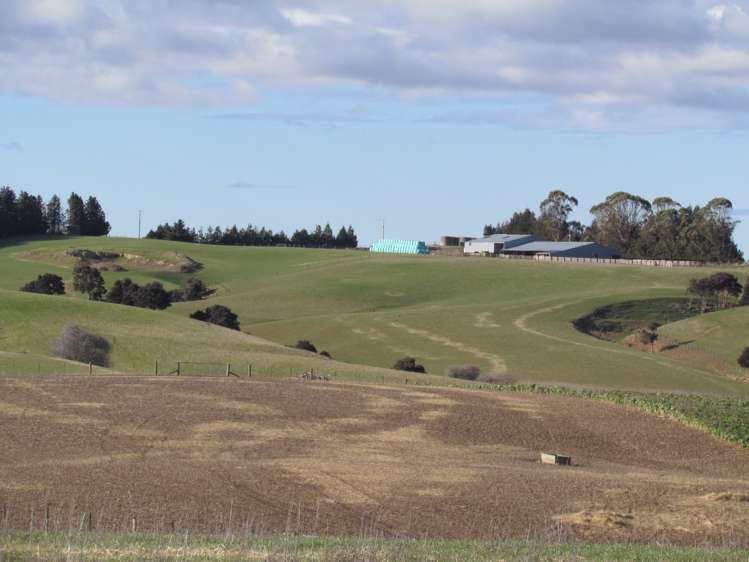 168 Remarkable Road Lawrence_19