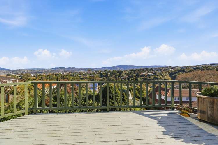 35 Aytoun Street Waverley_8