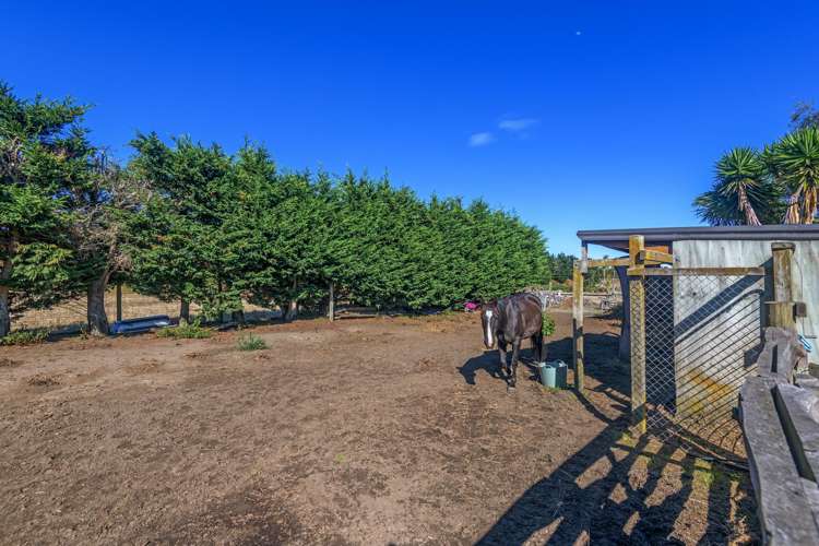 250 Foxton Shannon Road Foxton_17