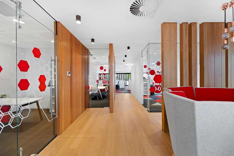 85 Tristram Street Hamilton Central_14