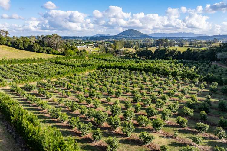 66 Kokopu Block Road Maungatapere Whangārei Rural Property For