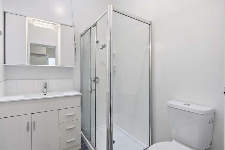 105 Kaikorai Valley Road Glenross_11