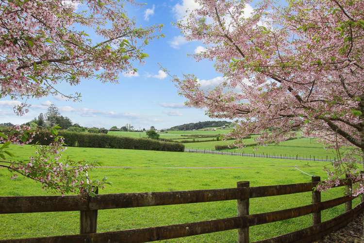 137 Hart Road Pukekohe_33