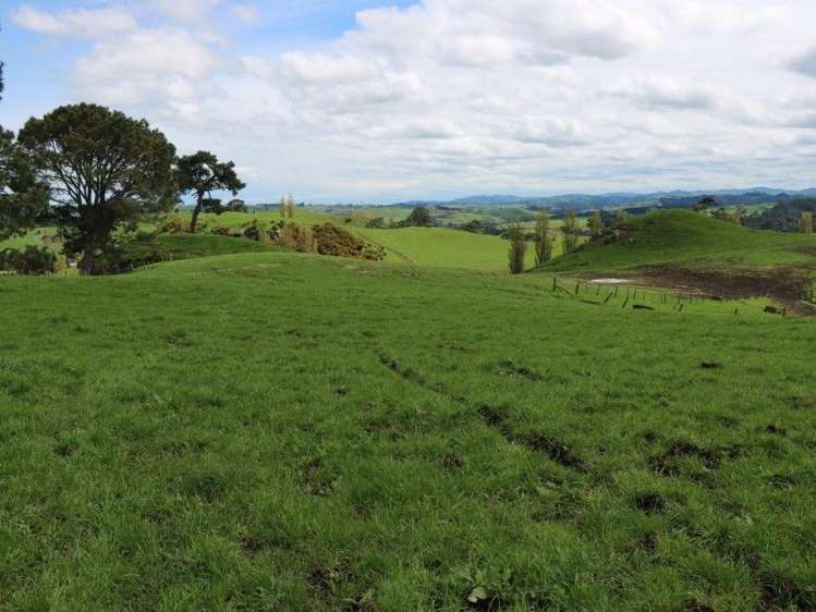 196 Hildreth Road Arapuni_19