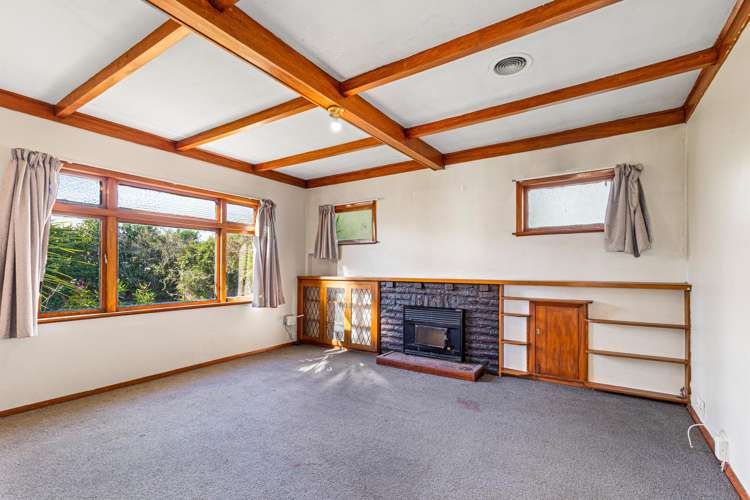 13 Kings Drive Levin_3