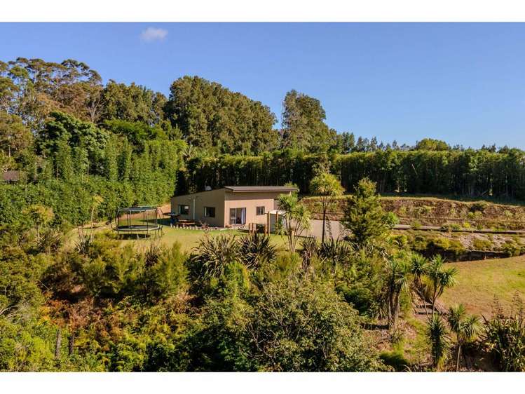 37 Ness Road Kerikeri Surrounds_15