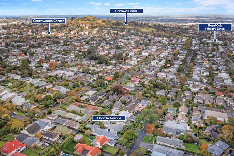 7 Gorrie Avenue Epsom_25