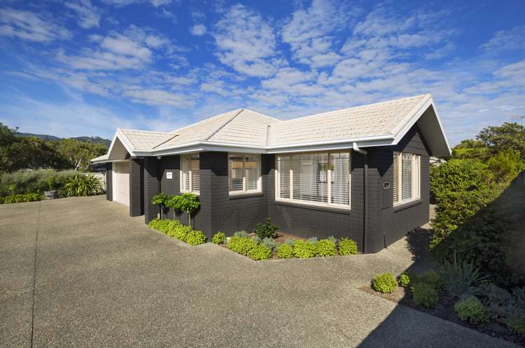 22a Wainui Street The Wood_17