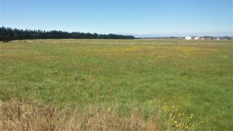 155 Spur Road West Feilding_2