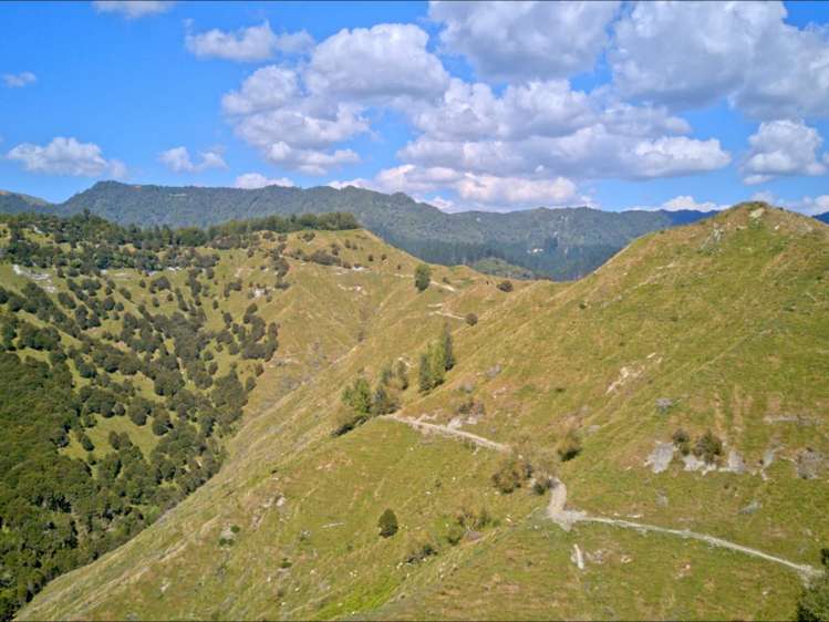 637 Makakahi Road Ruatiti_2