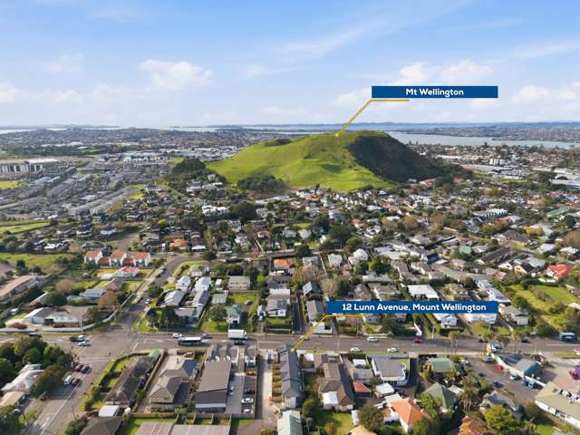 3/12 Lunn Avenue Mt Wellington_2