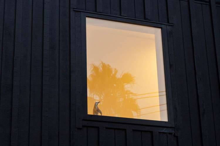 19 Parkfield Terrace Grafton_17