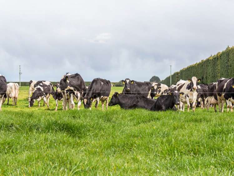 46 Mitchells Road Bankside_19