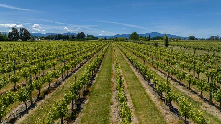 83 Dry Hills Lane Riverlands_30