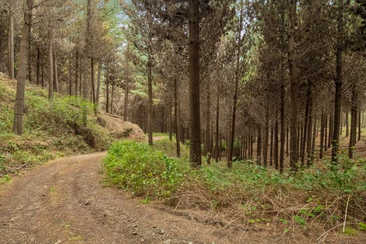 State Highway 63 Renwick_6