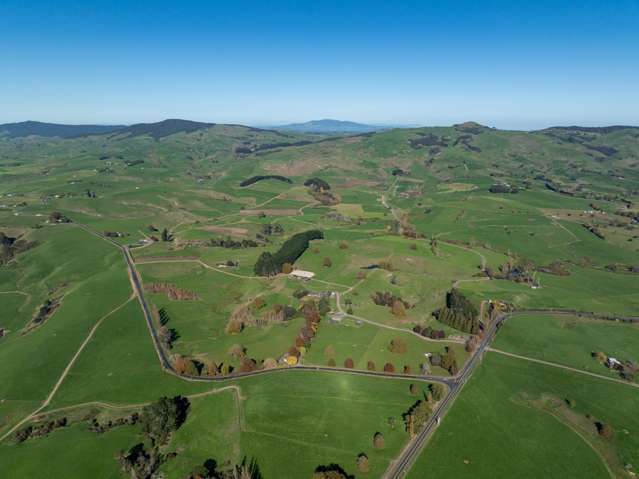 24 Waterworks Road Morrinsville_4