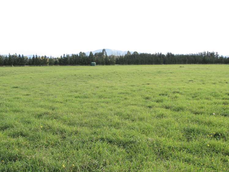 12 Kingfisher Lane Loburn_8