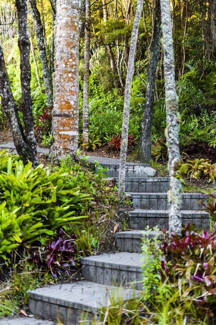 87 Bethells Road Waitakere_14