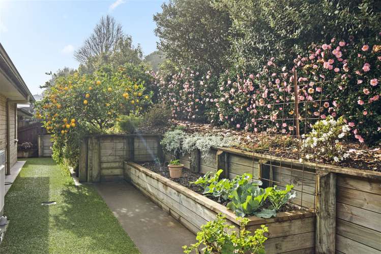 19 Owens Road Waiuku_11