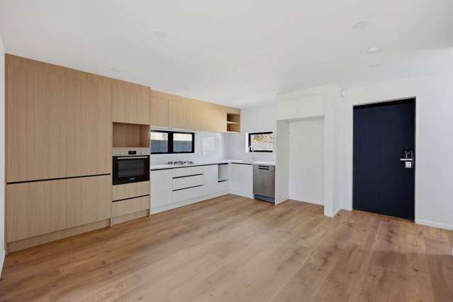 1/3 Deas Place Otahuhu_1