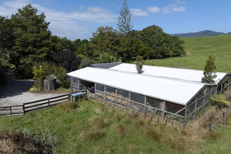 1982 Diggers Valley Road Kaitaia Surrounds_30