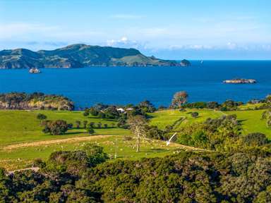 Share 18 Moturoa Island_3