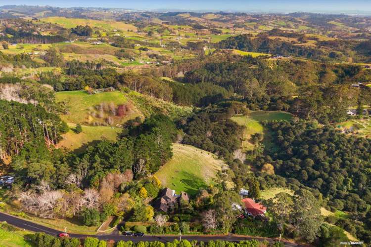 212 Ara-Kotinga Whitford_34