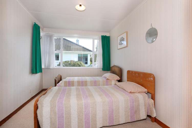 14 Ward Street Bulls_6