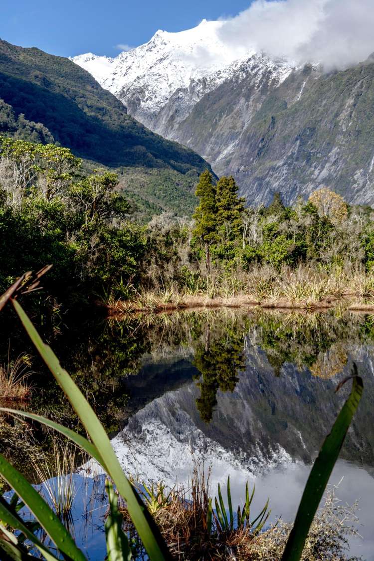 7 Pioneer Drive Franz Josef_8
