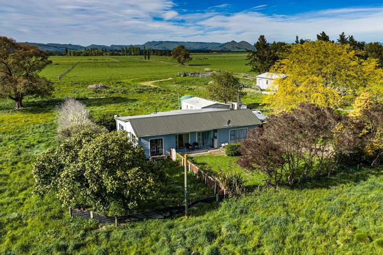 3637 State Highway 2 Takapau_15