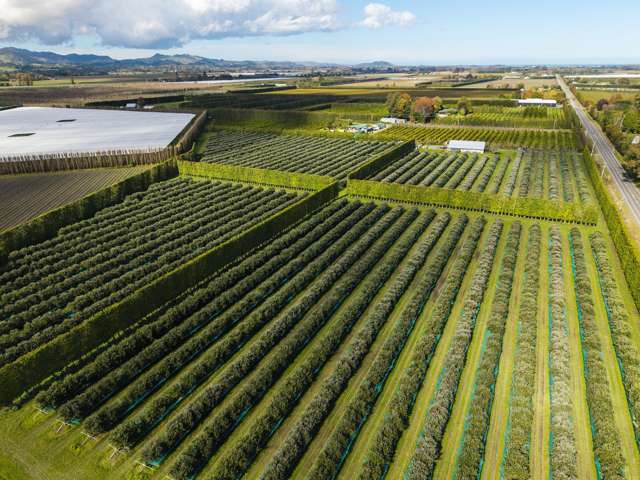 590 Matawai Road Waerengaahika_1