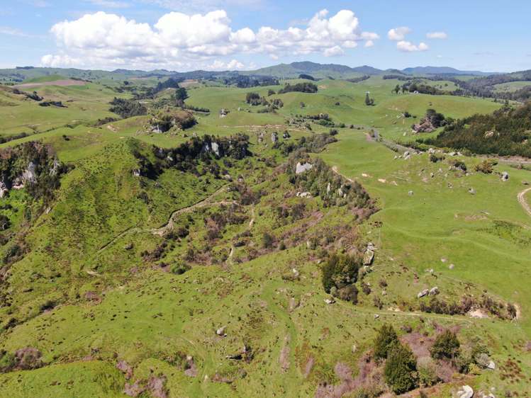 Ngaroma Road Wharepuhunga_8