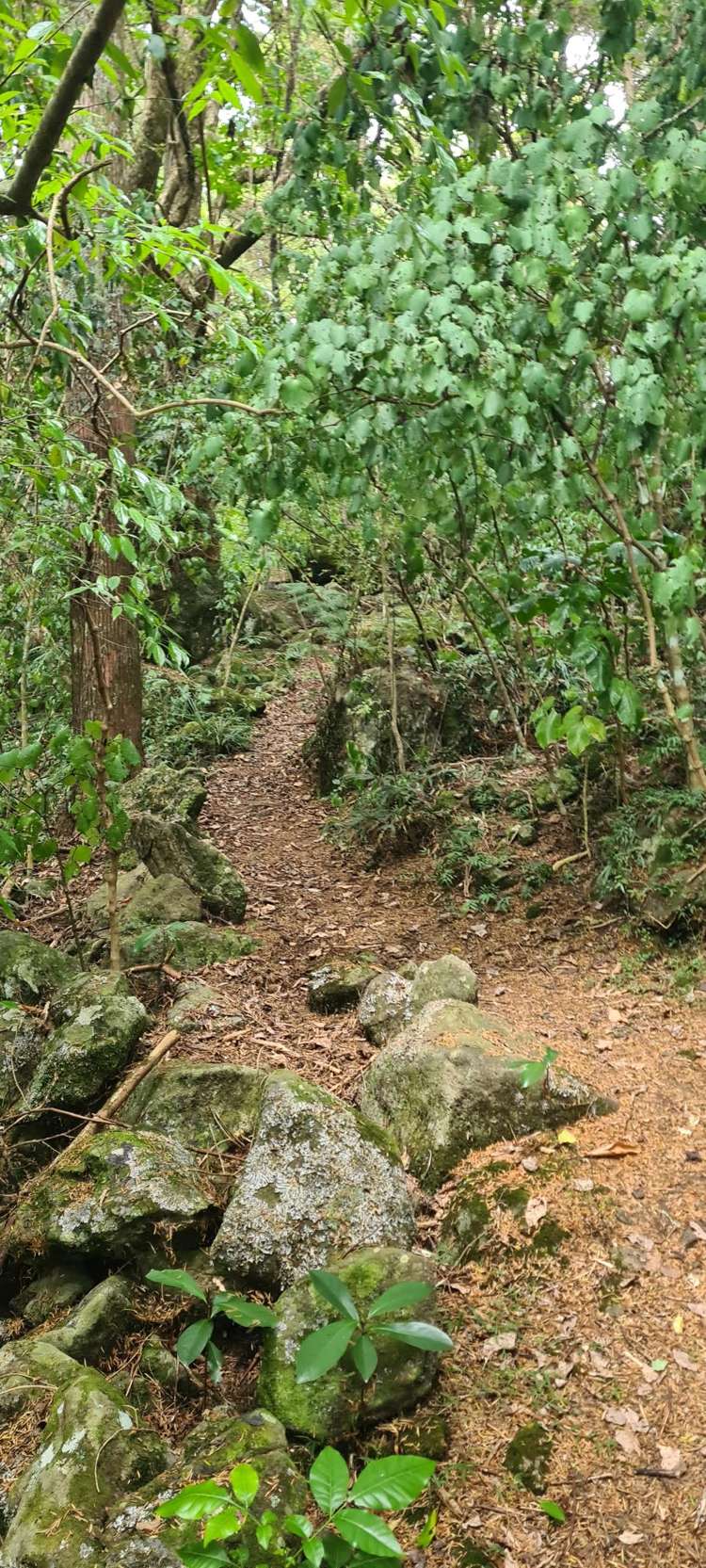 729 Otaika Valley Road Maungatapere_9