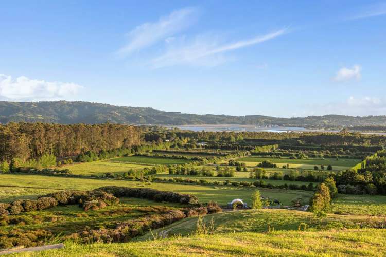 273 Takatu Road Tawharanui Peninsula_34