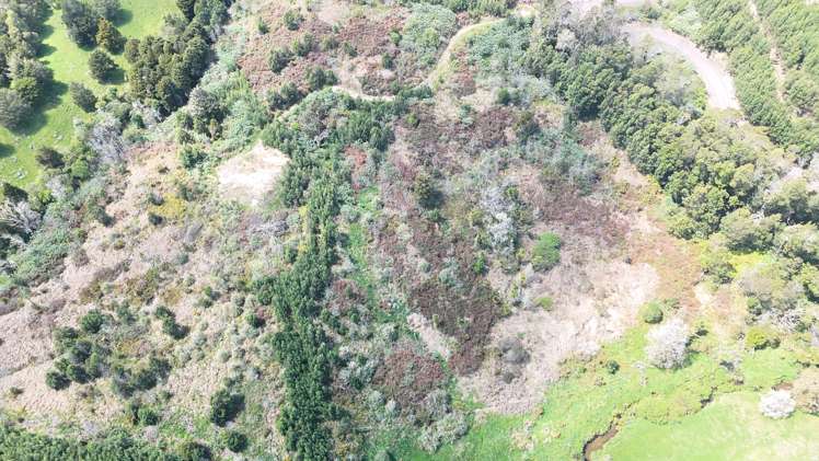 272 Waikuku Road Waimate North_7
