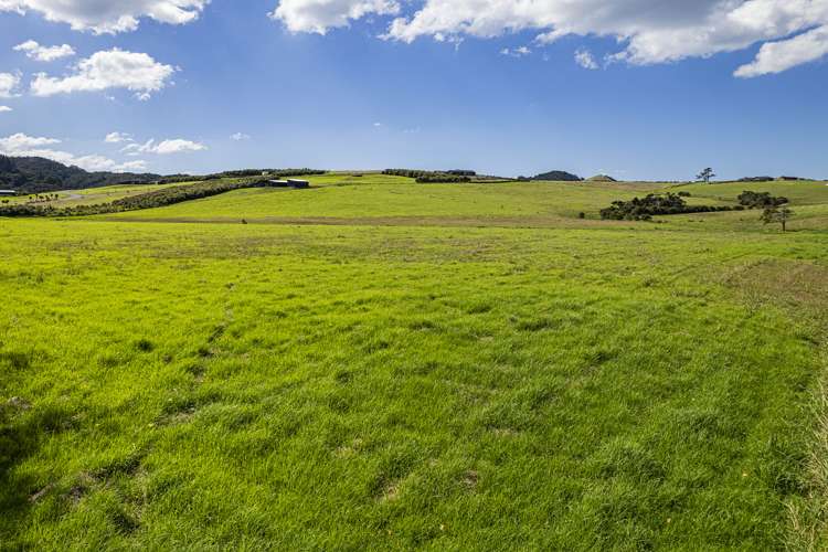 144-146 Mangawhai Heads Road Mangawhai Heads_7