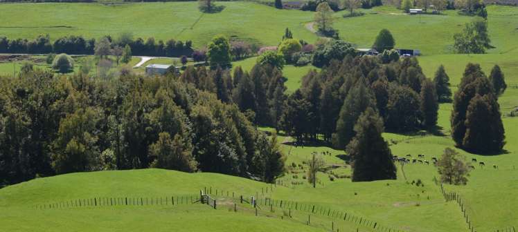 286 State Highway 30 Te Kuiti_6