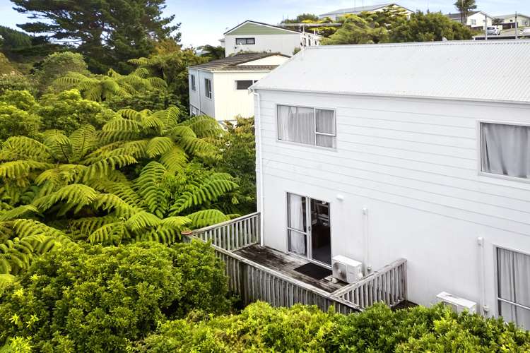 32b Cheltenham Terrace Newlands_1