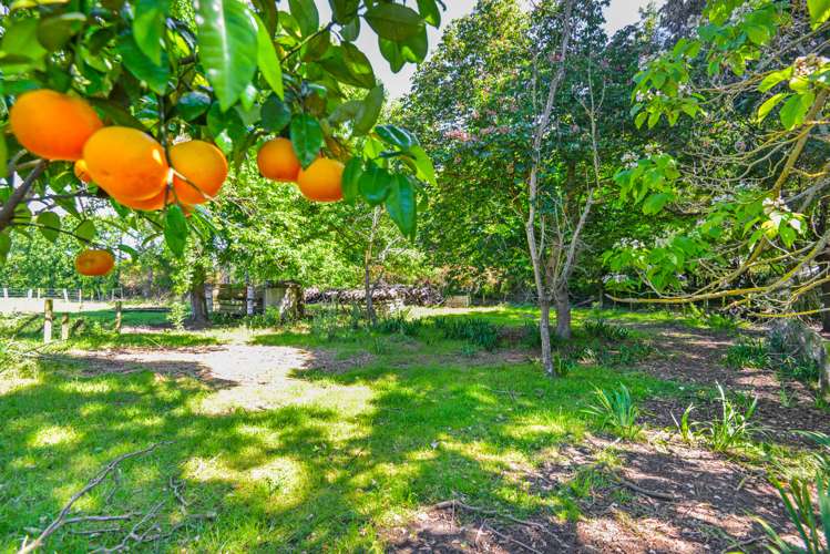 1458 Southland Road Longlands_19