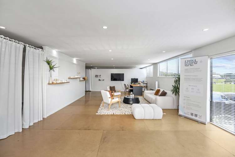 65 Barrys Point Road Takapuna_2