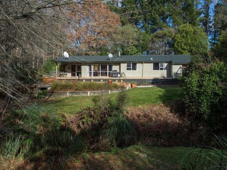 763 Paradise Valley Road Ngongotaha Valley_1