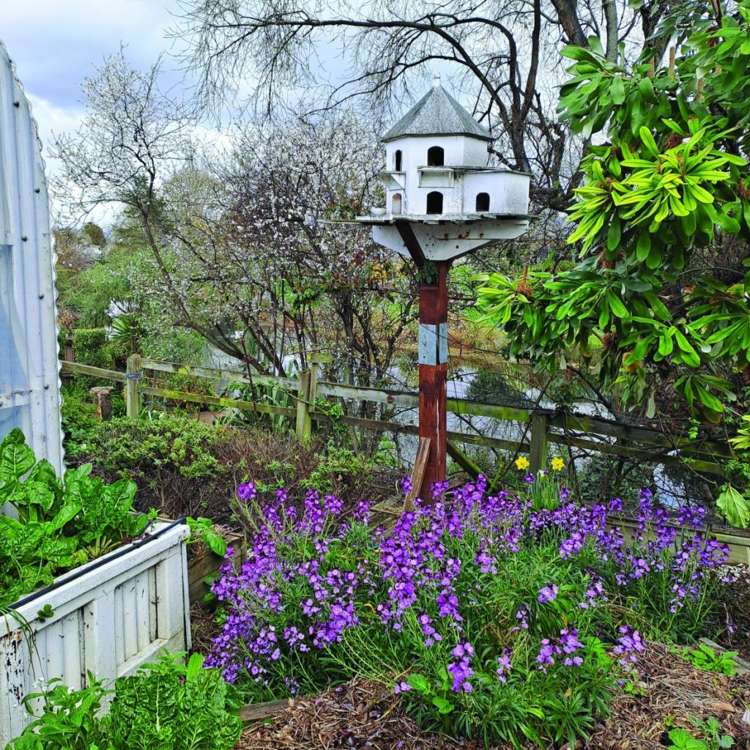 33a Shirtliff Street Riversdale_24